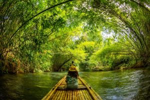 bamboo rafting